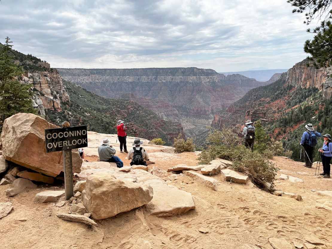 Coconino Overlook